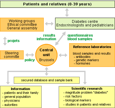 organigram